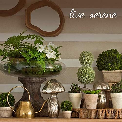 🕯️✨ Decorative Potpourri Bowl 🌸🏡 | Elegant Table Accent 💖🌿