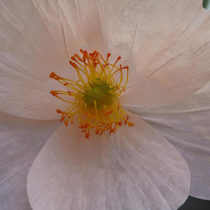 🌸✨ Handcrafted Poppy Decor 🌿💖 | Elegant Artificial Flower Arrangement 🏡🌟